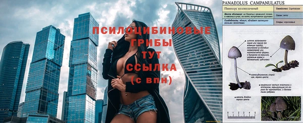 мдма Михайлов