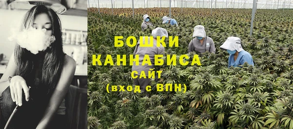 стаф Мегион