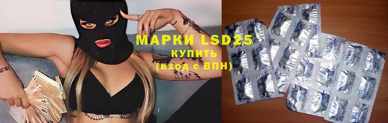 LSD-25 экстази кислота  блэк спрут вход  Нефтекумск 