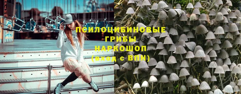 Псилоцибиновые грибы GOLDEN TEACHER  где продают наркотики  Нефтекумск 