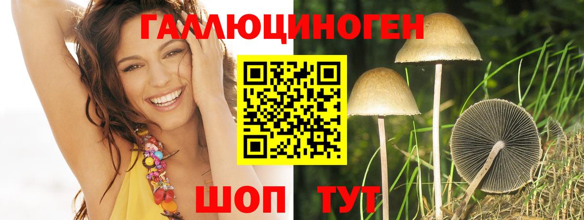 Галлюциногенные грибы Psilocybe Нефтекумск